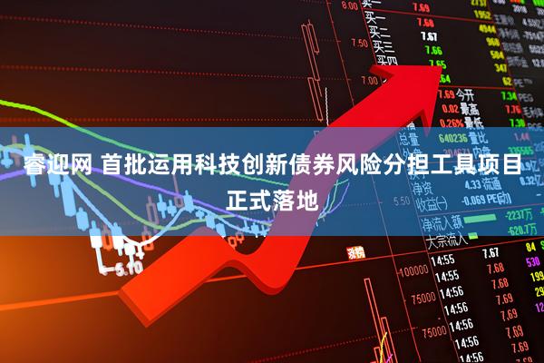 睿迎网 首批运用科技创新债券风险分担工具项目正式落地
