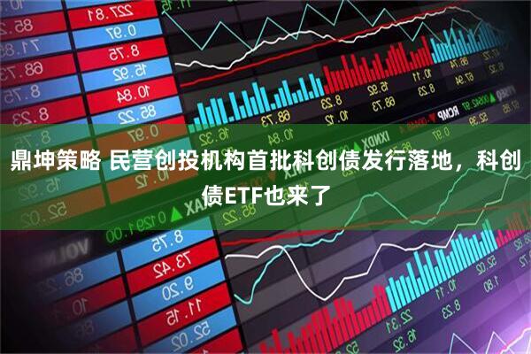 鼎坤策略 民营创投机构首批科创债发行落地，科创债ETF也来了