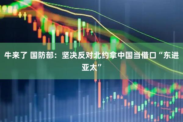 牛来了 国防部：坚决反对北约拿中国当借口“东进亚太”